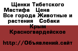 Щенки Тибетского Мастифа › Цена ­ 90 000 - Все города Животные и растения » Собаки   . Крым,Красногвардейское